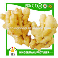 2014 nouvelle génération de gingembre frais 10kg / ctn origine Linyi